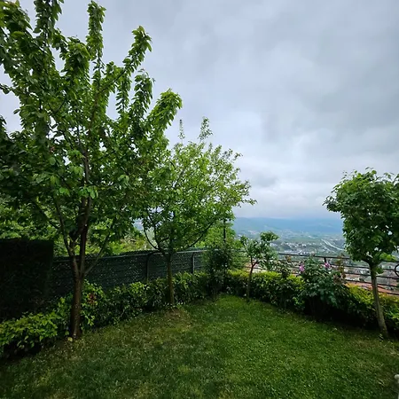 Sawsana Villalari * Sapanca