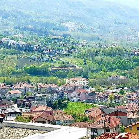 Sawsana Villalari Vila *